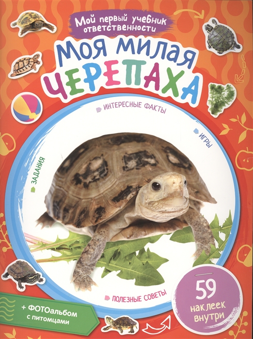 

Моя милая черепаха