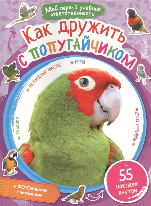 

Как дружить с попугайчиком
