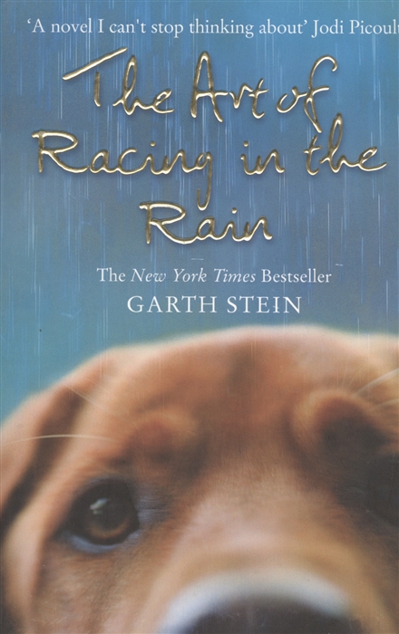 

The Art of Racing in the Rain A Novel