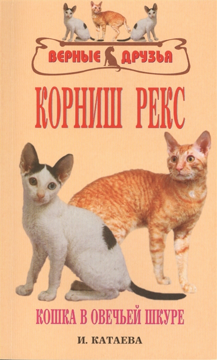 

Корниш рекс История Стандарт Содержание и уход Генетика Выставки Профилактика заболеваний