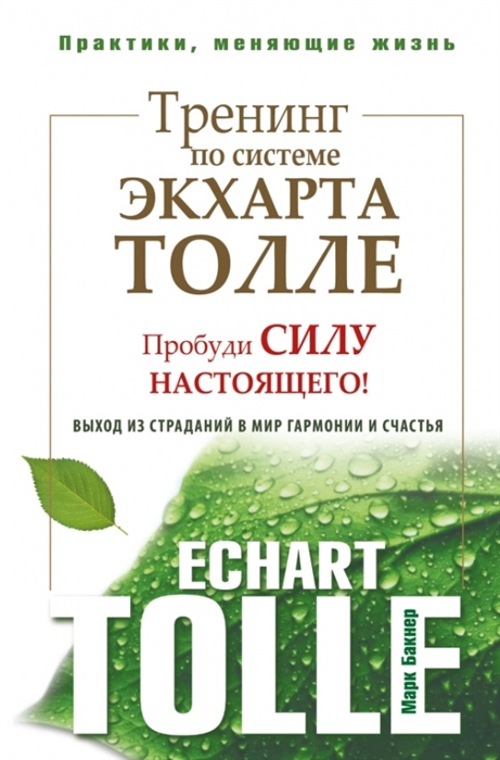 

Тренинг по системе Экхарта Толле Пробуди силу настоящего Выход из страданий в мир гармонии и счастья