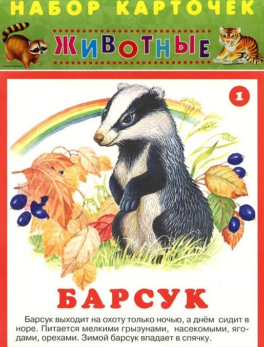 

Животные Набор карточек