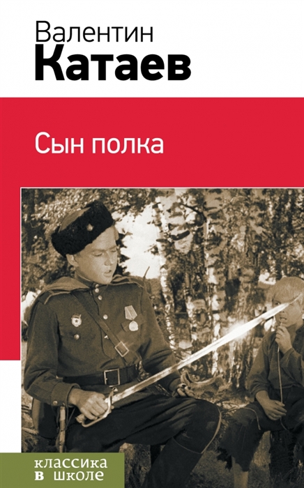 

Сын полка