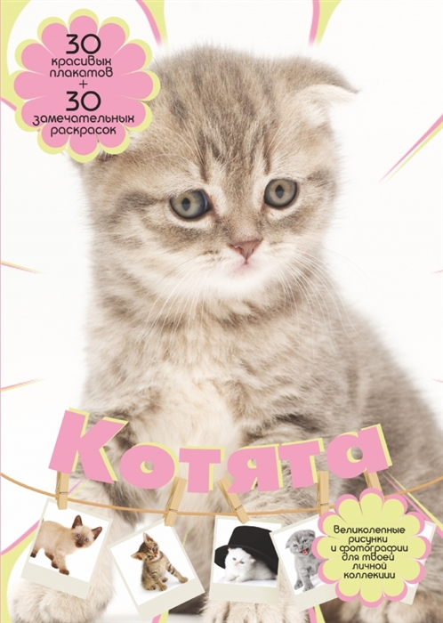 

Котята 30 красивых плакатов 30 замечательных раскрасок