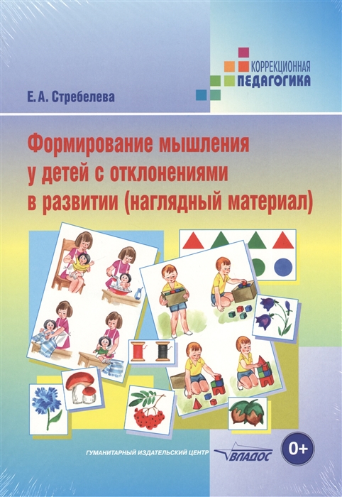 

Формирование мышления у детей с отклонениями в развитии наглядный материал