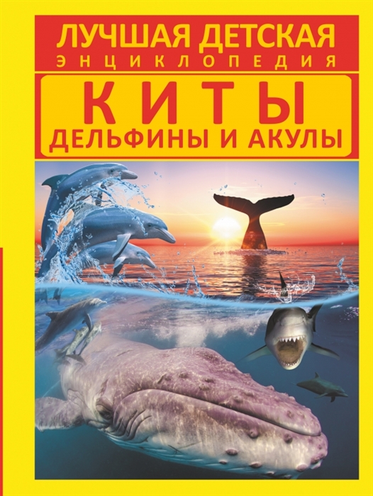

Киты дельфины и акулы