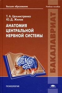 

Анатомия центральной нервной системы