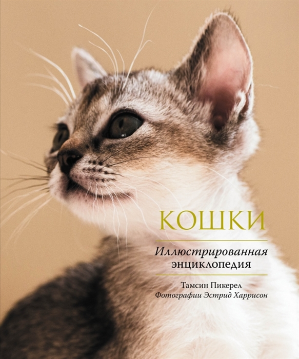 Энциклопедия кошек картинки