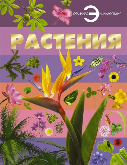 

Растения