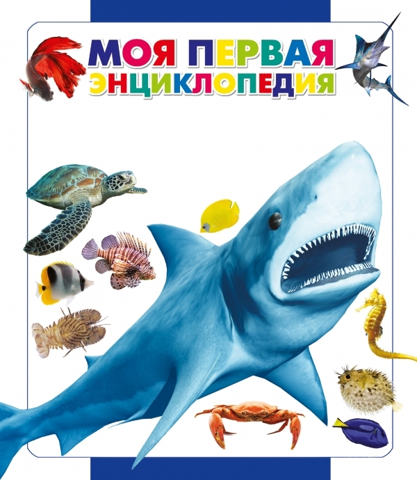 

Подводный мир