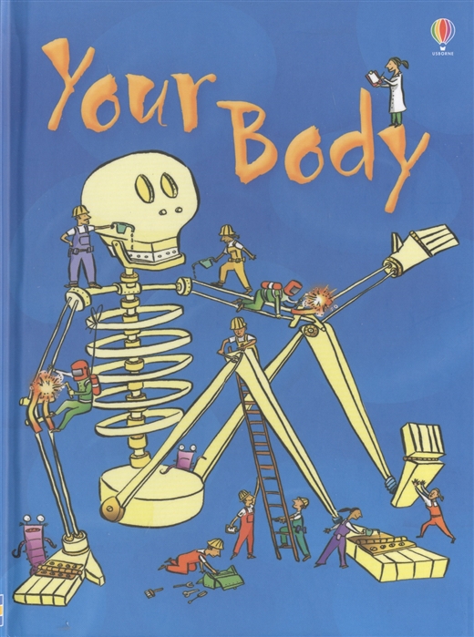 

Your Body