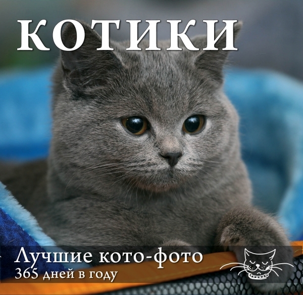 

Котики Лучшие кото-фото 365 дней в году