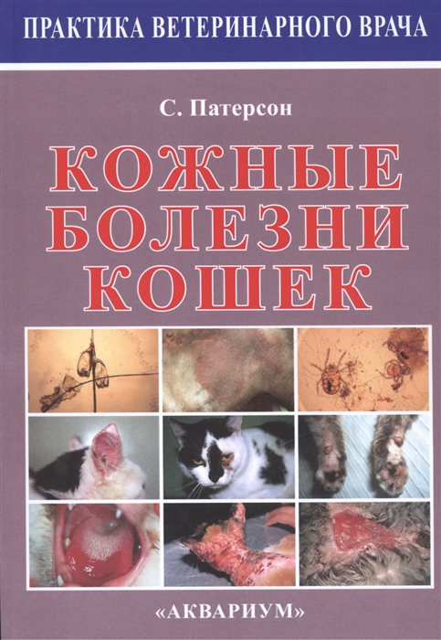 

Кожные болезни кошек