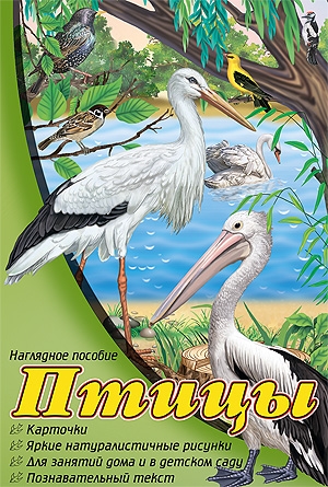 

Птицы Карточки Яркие натуралистичные рисунки Для занятий дома и в детском саду Познавательный текст