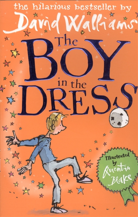 the boy in the dress book