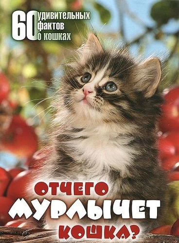 

Отчего мурлычет кошка 60 удивительных фактов о кошках