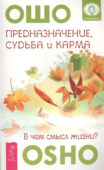 

Предназначение судьба и карма В чем смысл жизни