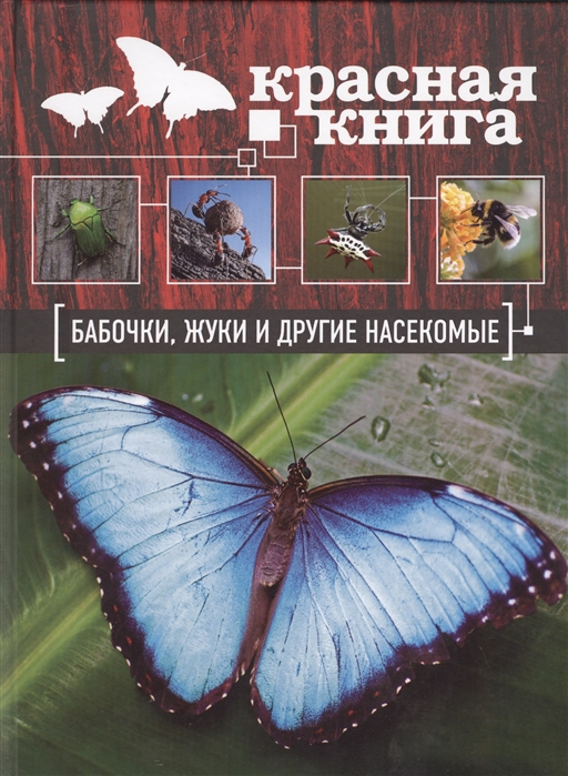 

Красная книга бабочки жуки и другие насекомые