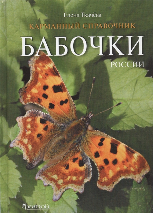 Бабочки России