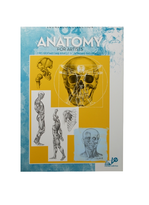 

Анатомия для художников Anatomy for Artists 4