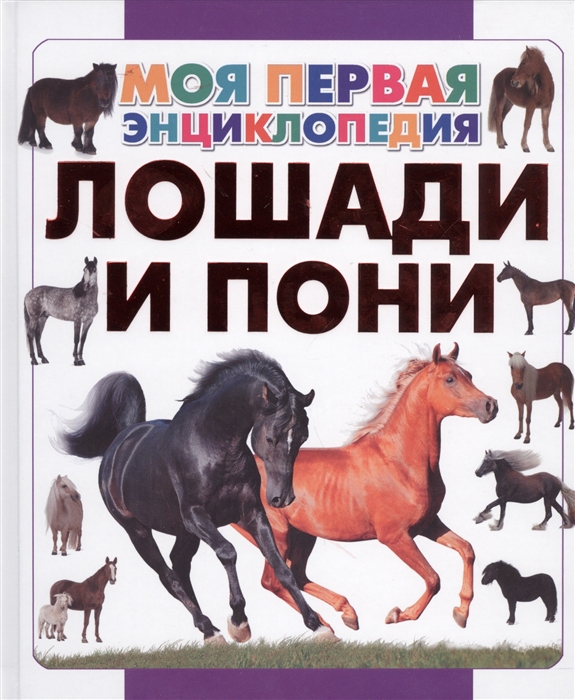 

Лошади и пони