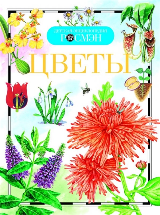 

Цветы