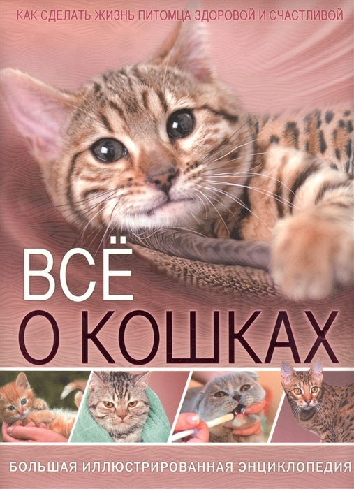

Все о кошках Большая иллюстрированная энциклопедия Как сделать жизнь питомца здоровой и счастливой