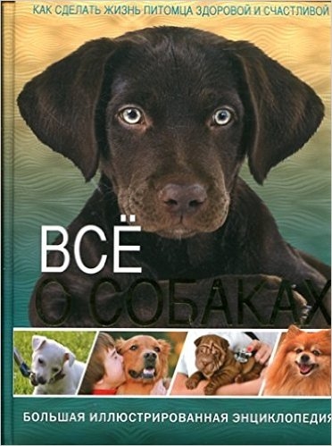 

Все о собаках Большая иллюстрированная энциклопедия Как сделать жизнь питомца здоровой и счастливой