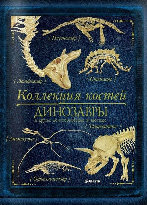 

Коллекция костей Динозавры и другие доисторические животные