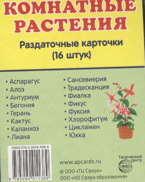 Купить Комнатные Растения В Интернет Магазине