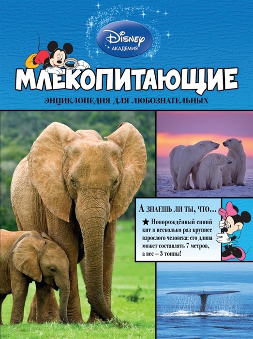 

Млекопитающие Энциклопедия для любознательных