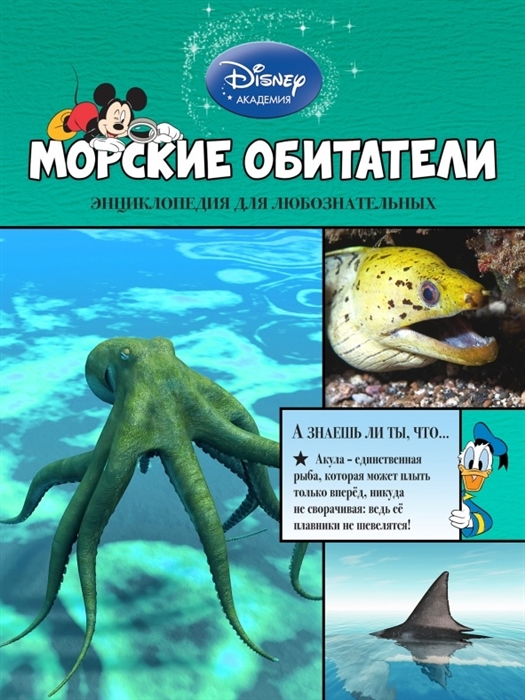 

Морские обитатели Энциклопедия для любознательных