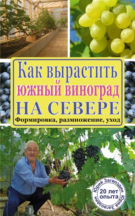 

Как вырастить южный виноград на севере Формировка размножение уход