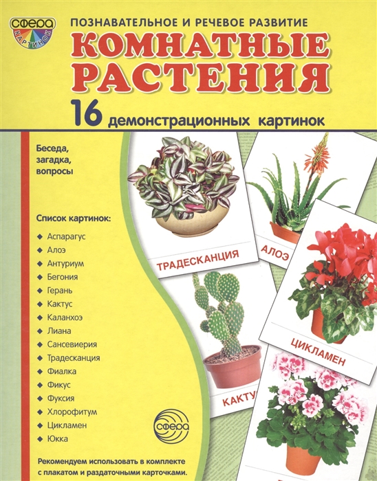 

Комнатные растения 16 демонстрационных картинок Беседа загадка вопросы Познавательное и речевое развитие