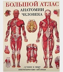 

Большой атлас анатомии человека