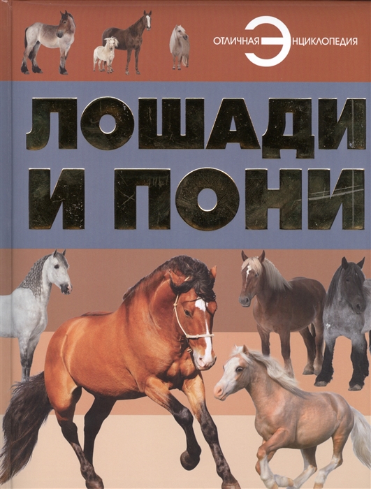 

Лошади и пони