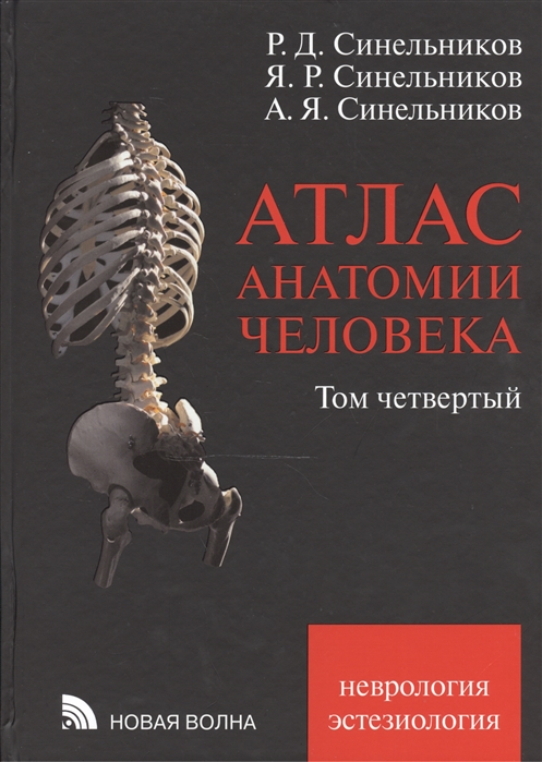Атлас анатомии человека В 4-х томах Том 4 Учение о нервной системе и органах чувств