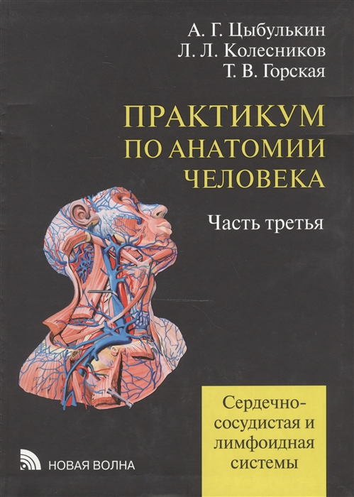 Цыбулькин А., Колесников Л., Горская Т. - Практикум по анатомии человека учебное пособие В четырех частях Часть третья Сердечно-сосудистая и лимфоидная системы