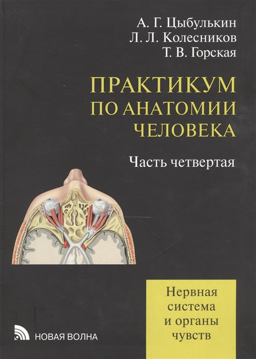 Цыбулькин А., Колесников Л., Горская Т. - Практикум по анатомии человека учебное пособие В четырех частях Часть четвертая Нервная система и органы чувств