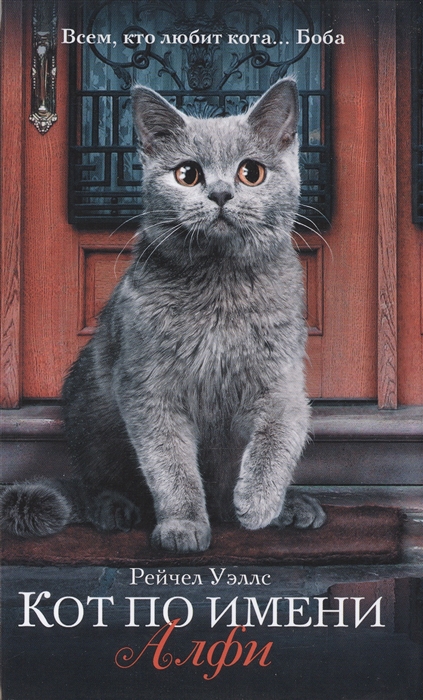 

Кот по имени Алфи