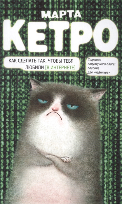 

Как сделать так чтобы тебя любили В Интернете Содание популярного блога пособие для чайников