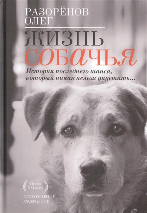 

Жизнь собачья История последнего шанса который никак нельзя упустить