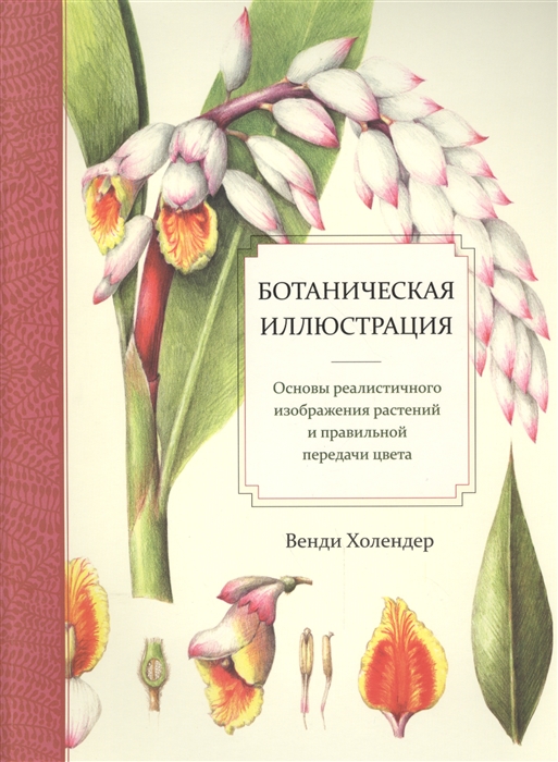 

Ботаническая иллюстрация Основы реалистичного изображения и правильной передачи цвета