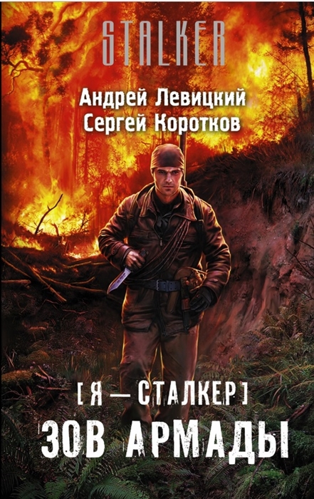 

Я - сталкер Зов армады