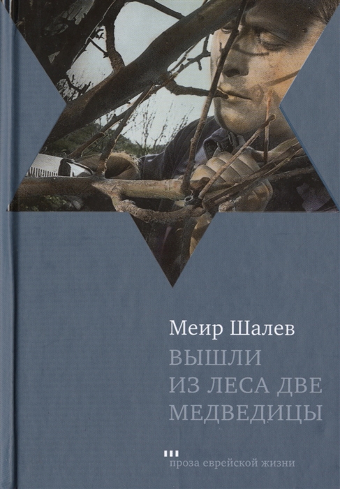 

Вышли из леса две медведицы Роман