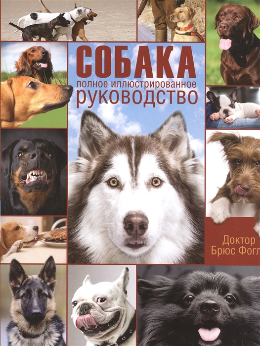 

Собака Полное иллюстрированное руководство Забота о вашей собаке