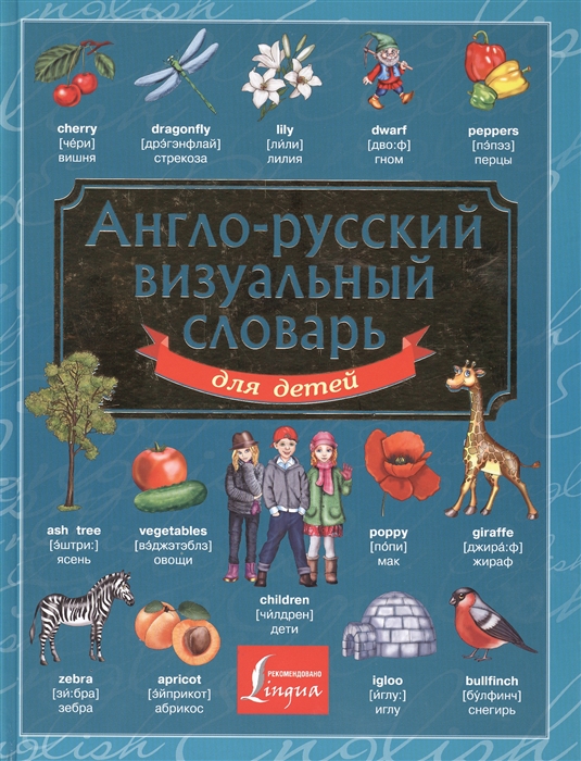 

Англо-русский визуальный словарь для детей
