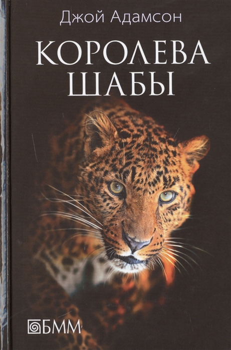 

Королева Шабы История жизни африканского леопарда