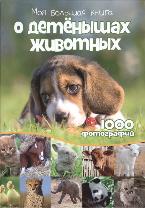 

Моя большая книга о детенышах животных 1000 фотографий