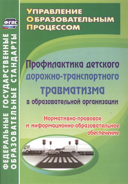 

Профилактика детского дорожно-транспортного травматизма в образовательной организации Нормативно-правовое и информационно-образовательное обеспечение